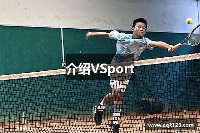 介绍VSport